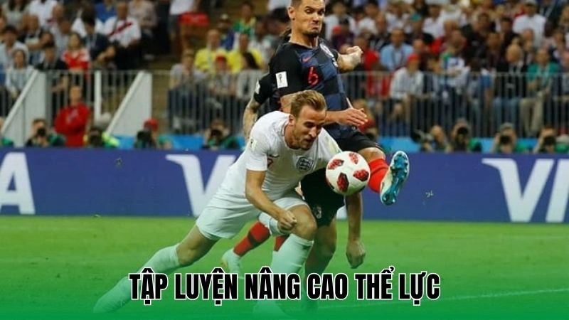 Tập luyện nâng cao thể lực